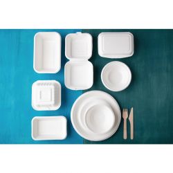 Fiesta Compostable Bagasse Food Trays (Pack of 50)