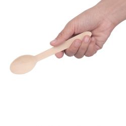 Fiesta Compostable Wooden Cutlery Meal Pack (250 pack)
