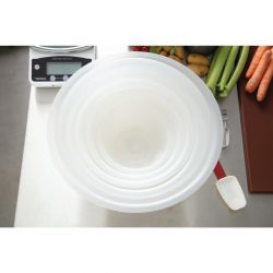 Schneider Plastic Mixing Bowl