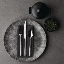 Churchill Stone Quartz Black Evolve Coupe Plates 260mm (12 Pack)