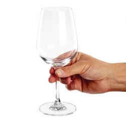Olympia Mendoza Wine Glasses 455ml (6 Pack)