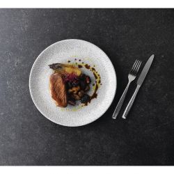 Churchill Raku Jasper Grey Evolve Coupe Plates 8.67