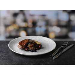 Churchill Raku Jasper Grey Evolve Coupe Plates 8.67