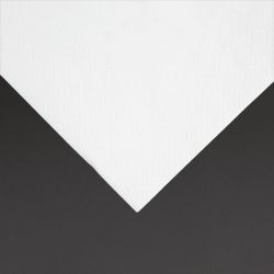 Fiesta Recyclable Cocktail Napkin White 24x24cm 2ply 1/4 Fold (4000 Pack)
