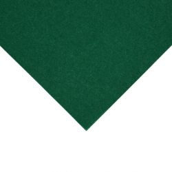 Fiesta Recyclable Lunch Napkin Green 33x33cm 2ply 1/4 Fold (2000 Pack)