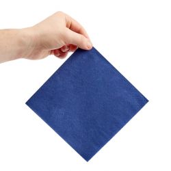 Fiesta Recyclable Lunch Napkin Blue 33x33cm 2ply 1/4 Fold (2000 Pack)