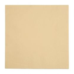 Fiesta Recyclable Dinner Napkin Cream 40x40cm 2ply 1/4 Fold (2000 Pack)