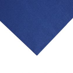 Fiesta Recyclable Dinner Napkin Dark Blue 40x40cm 2ply 1/4 Fold (2000 Pack)