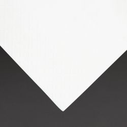 Fiesta Recyclable Dinner Napkin White 40x40cm 3ply 1/8 Fold (1000 Pack)
