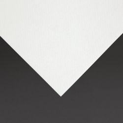 Fiesta Recyclable Premium Tablin Cocktail Napkin White 24x24cm Airlaid 1/4 Fold (2400 Pack)