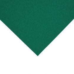 Fiesta Recyclable Premium Tablin Dinner Napkin Dark Green 40x40cm Airlaid 1/4 Fold (500 Pack)