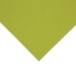 Fiesta Recyclable Premium Tablin Dinner Napkin Kiwi 40x40cm Airlaid 1/8 Fold (500 Pack)
