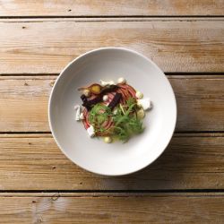 Vellum White Coupe Bowl 15oz (12 Pack)