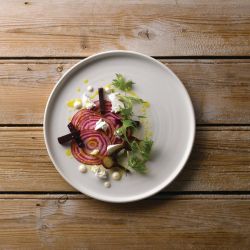 Vellum White Walled Plates 8 1/4 