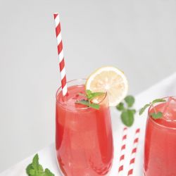 Fiesta Compostable Individually Wrapped Paper Straws Red Stripes (250 Pack)