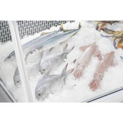 Polar G-Series Fish Display Serve Over Counter Fridge