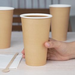 Fiesta Recyclable Single Wall Takeaway Coffee Cups Kraft 455ml / 16oz (50 Pack)