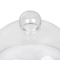 Glass Cloche 210mm