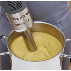 Robot Coupe Compact Stick Blender CMP300 VV