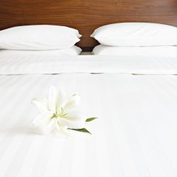 Mitre Comfort Satin Flat Sheets White