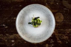 Sway Gourmet Flat Plate 19cm - Pack of 12