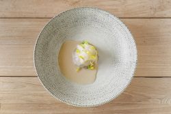 Sway Bloom Deep Plate 23cm - Pack of 6