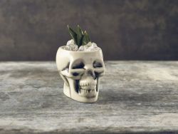 Genware White Skull Tiki Mug 40cl/ 14oz - Pack of 6