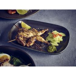 Terra Porcelain Black Rectangular Plate 34.5 x 23.5cm - Pack of 6