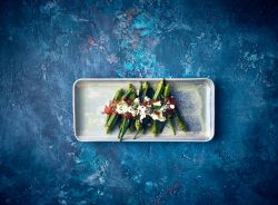 Terra Porcelain Seafoam Narrow Rectangular Platter 31 x 14cm - Pack of 6