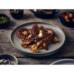 Terra Porcelain Matt Grey Low Presentation Plate 25cm - Pack of 6