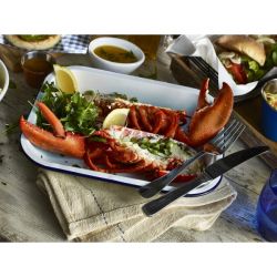 Enamel Baking Tray 28 x 23 x 4.5cm - Pack of 6