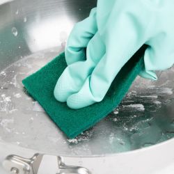 Jantex Scouring Pads - Green (Pack of 10)