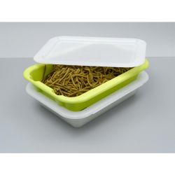 Scaritech Drainage Tray Anis Green 5Ltr