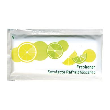 eGreen Large Freshening Hand Wipes (Pack of 500)