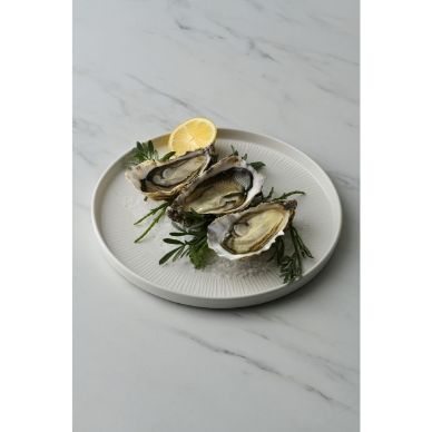 Churchill Bamboo White Walled Plate 260mm (6 Pack)