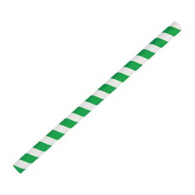 Fiesta Compostable Paper Smoothie Straws Green Stripes (Pack of 250)