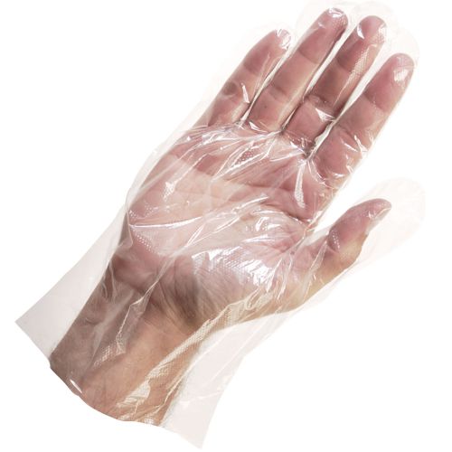 Clear Disposable Gloves: Glove Sizes: Large